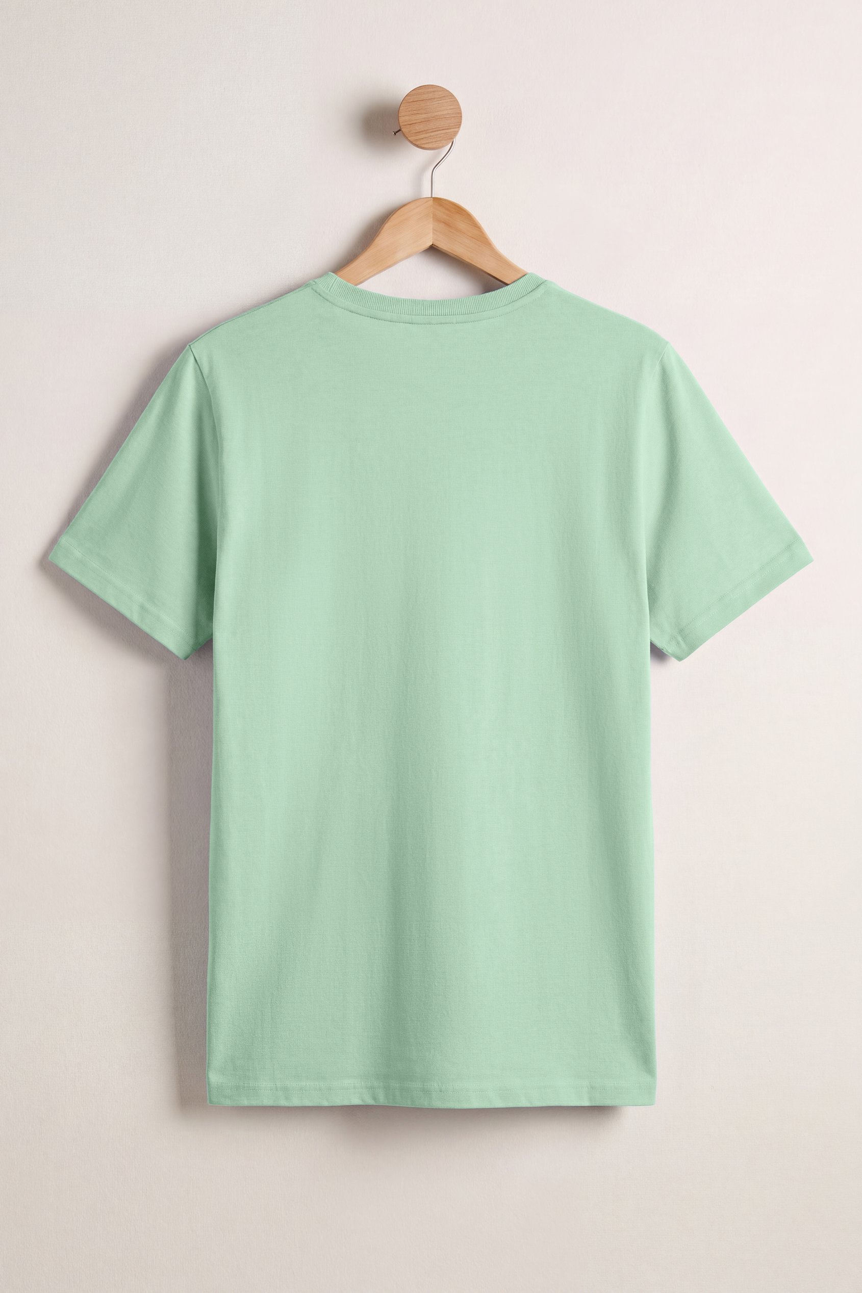 V-Neck T-Shirt