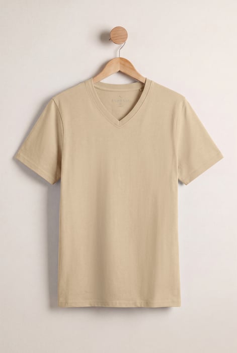Grey V-Neck T-Shirt