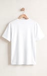 Essential Regular Fit Crew Neck T-shirt
