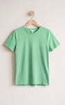 Essential Cotton Crew Neck T-Shirt