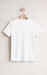 Essential Cotton Crew Neck T-Shirt
