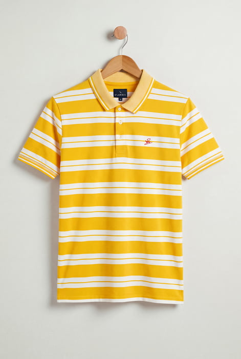 Stripe Polo Shirt