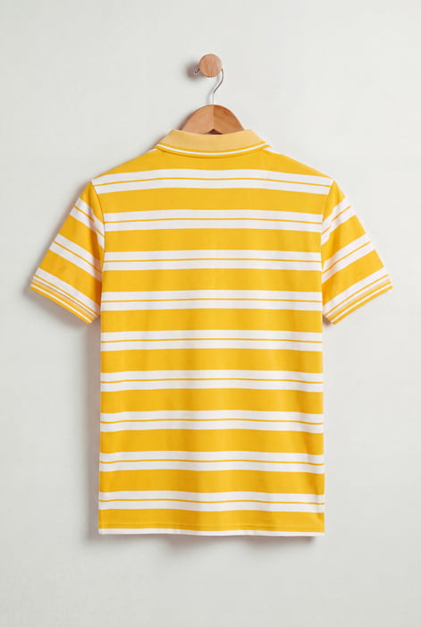 Stripe Polo Shirt