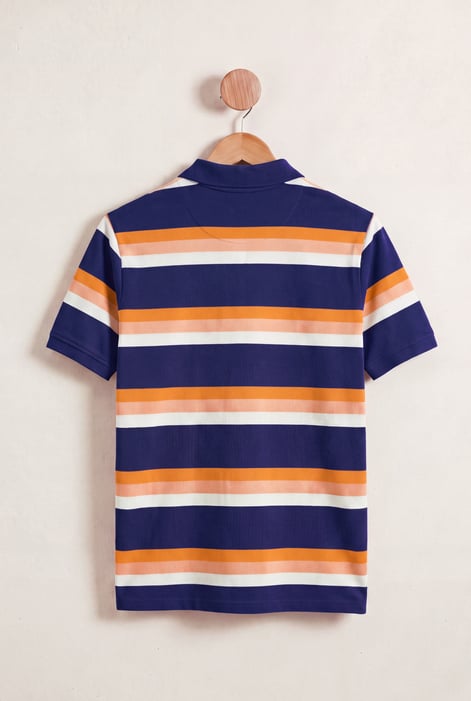 Stripe Polo Shirt