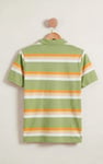 Stripe Polo Shirt