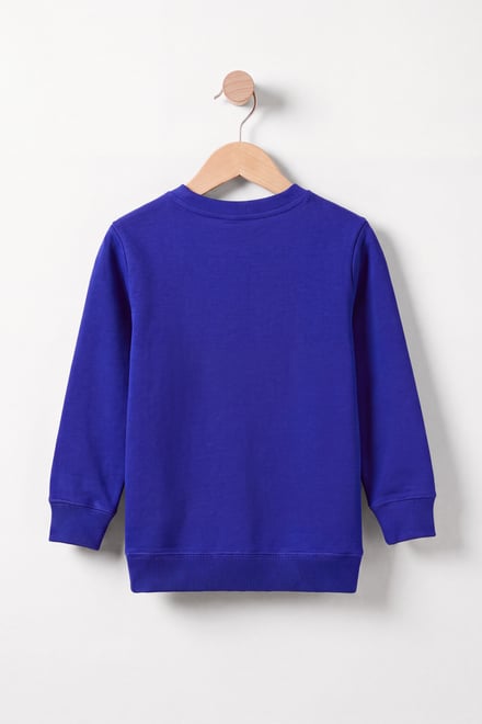 Boys Christmas Reindeer Sweatshirt (3yrs-9yrs)