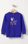 Boys Christmas Reindeer Sweatshirt (3yrs-9yrs)