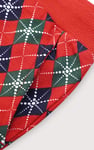 Boys Argyle Print Jogger (3yrs-9yrs)